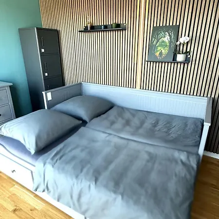 Апартаменты Modernes-Penthouse Xxl-Dachterrasse Mit Whirlpool, Grill Zentrumsnah Лейпциг